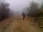 08122007221-1.jpg