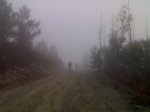 08122007222-1.jpg
