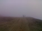 08122007223-1.jpg
