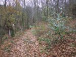 PIC_0008.JPG
