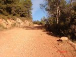 DSC01376.jpg