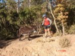 DSC01378.jpg