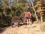 DSC01379.jpg
