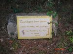 DSC01384.jpg