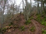 Photo 011.jpg