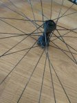 IMG_20200826_135323.jpg