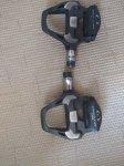 IMG_20200827_151548.jpg