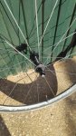 IMG-20200831-WA0004.jpg
