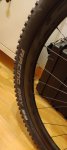 IMG_20200915_220321.jpg