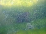DSC00303.JPG