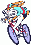 decicli8.gif