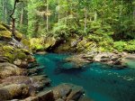 Ohanapecosh_River,_Mt__Rainier_National_Park,_Washington_123_249lo.JPG
