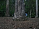 IMG_0143 [800x600].JPG
