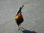 DSCN3628.JPG