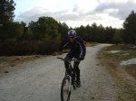 DSC03137.JPG
