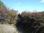 DSC03181.JPG