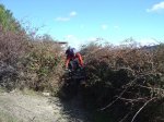 DSC03182.JPG