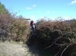 DSC03183.JPG
