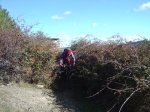 DSC03184.JPG