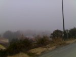091220071799.jpg