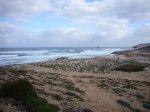 08-12-2007 12-32-13_0017.JPG