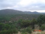 DSC05103.JPG
