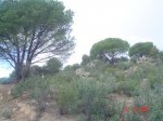 DSC05105.JPG