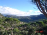 DSC05109.JPG