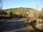 DSC03142_resize.JPG