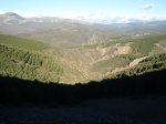 DSC03195_resize.JPG