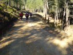 DSC03262_resize.JPG