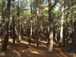 DSC03267_resize.JPG