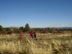 DSC03270_resize.JPG