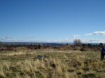 DSC03271_resize.JPG