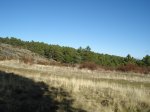 DSC03272_resize.JPG