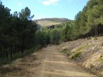DSC03280_resize.JPG