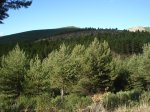 DSC03295_resize.JPG