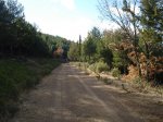 DSC03296_resize.JPG