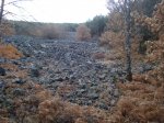 DSC03300_resize.JPG