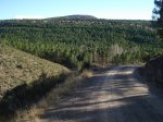 DSC03308_resize.JPG