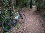 IMG20201007180611_01.jpg