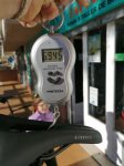IMG-20201012-WA0008.jpg
