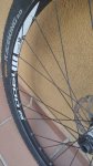 IMG_20201016_182216_1.jpg