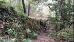9E046682-B8CE-4ABE-8E9D-060C42B99954.jpeg
