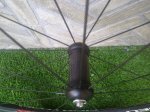 20201018_181137.jpg
