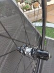IMG_20201024_175856.jpg