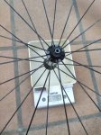 IMG_20201024_180212.jpg