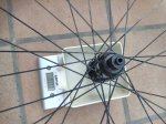 IMG_20201024_180243.jpg