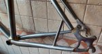 20201024_180159.jpg