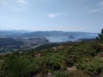 IMG_20200712_124735649.jpg